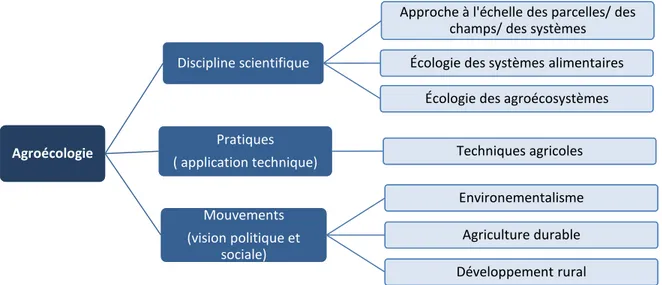 Figure 2.5 Diversité des différentes définitions de l’agroécologie.  