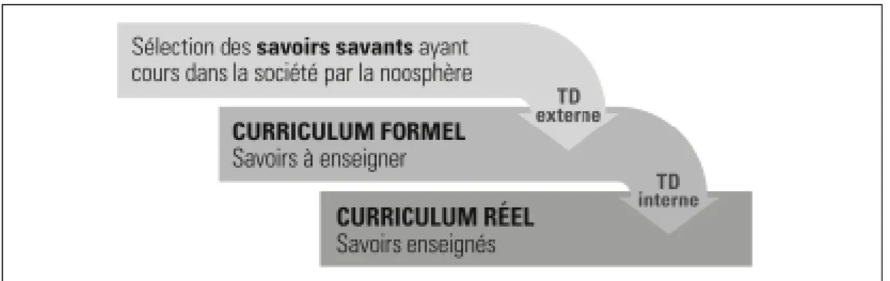 Figure 3 : Chaîne de transposition didactique selon Chevallard 