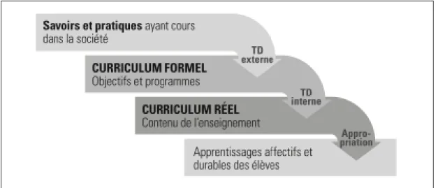 Figure 4 : Chaîne de transposition didactique selon Martinand 60