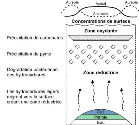 Figure  3  –  Modèle généralisé de micro-suintements d’hydrocarbures et des effets induits  sur les sols et les sédiments (adapté de Schumacher, 1996)
