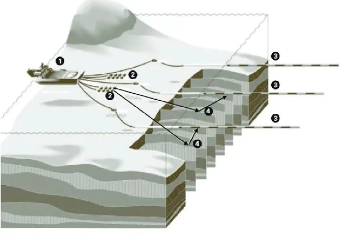 Figure 10 – Levés sismiques en milieu marin. Un navire remorque les sources suivies des  flutes sismiques (tiré de Bonton et al., 2014; modifié de Bott, 2004)
