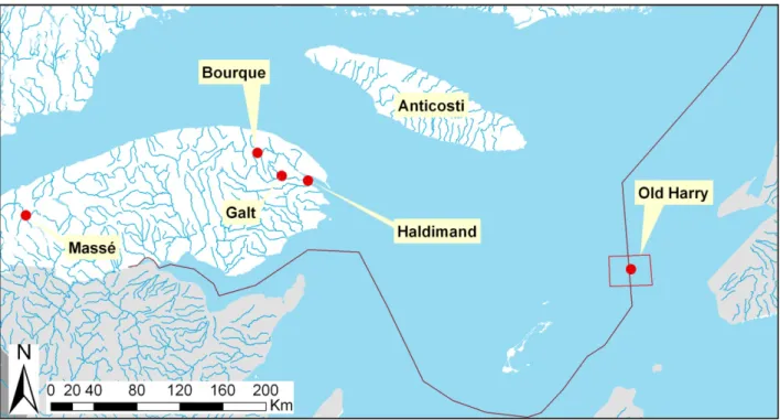 Figure 1 : Carte de localisation de l’île d’Anticosti et des quatre structures géologiques en  milieu terrestre considérées dans le présent rapport (1) 
