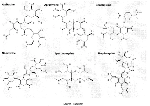 Figure 4 Structures des antibiotiques de la  dasse des aminoglycosides 