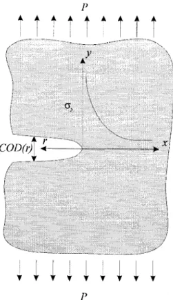 Figure 3.7: Crack opening displacements 