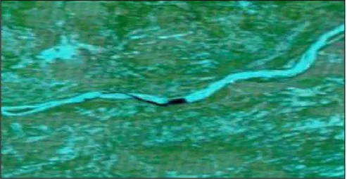Figure 7: Extract of MODIS Terra image on November 30th, 2013. The area upstream from the  Vermillion Chutes is still free of ice (black)