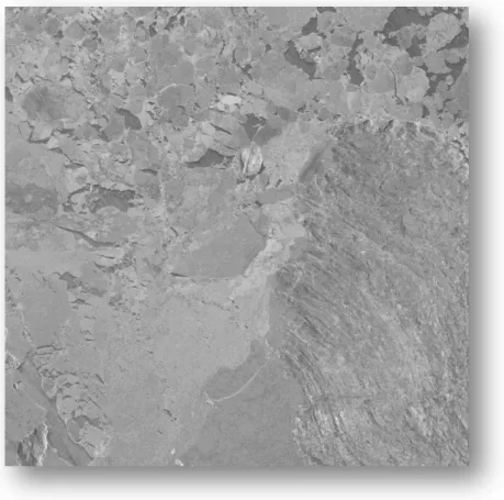 Figure 6 : Image RADARSAT-2 en mode fin du détroit d'Husdon  près de Quaqtaq le 17 Dec 2009 © MDA 
