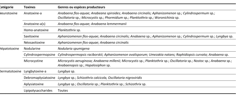 Tableau 1.1  Liste  non  exhaustive  des  genres  ou  espèces  producteurs de  cyanotoxines  (d’après  BGAWB  2010;  Chorus  et Bartram  1999; 