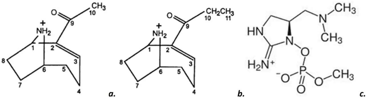 Figure 1.1  Structure chimique  de l’anatoxine‐a  (a.),  de  l’homo‐anatoxine (b.) et  de  l’anatoxine‐