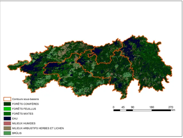 Figure 2.6 Carte d’occupation du sol sur l’ensemble du complexe La Grande. 