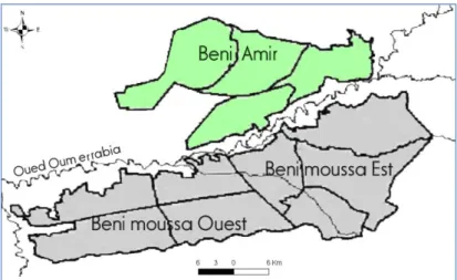 Figure 2 ). Le premier sous-périmètre de Béni-Amir est d’une superficie de 27000 ha est irrigué  par les eaux régularisées du barrage Ahmed El-Hansali (800 Millions de m3 de capacité) sur les eaux  salées de l’Oued Oum Errabia