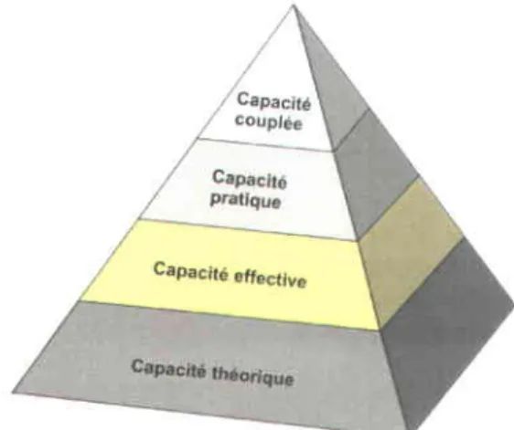 Figure 10 -  Pyramide des capacit6s de stockage g6ologique du CO2 (d'apris  Bachu et aL,2007).