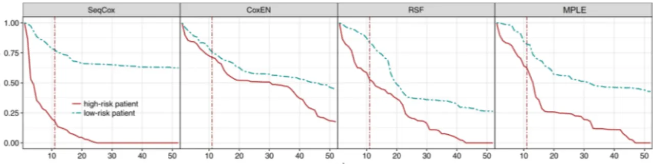 Figure 3.3 – Comparaison des probabilités de survie de deux patients sur une période de un an