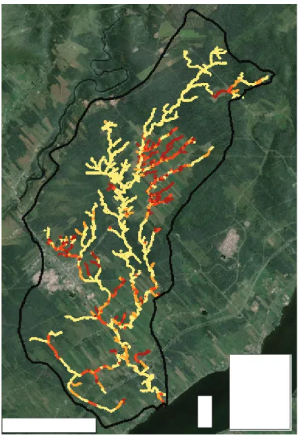 Figure 7 : Distribution spatiale de l’indice de qualité de la bande riveraine (IQBR)  dans le bassin versant de La Chevrotière 