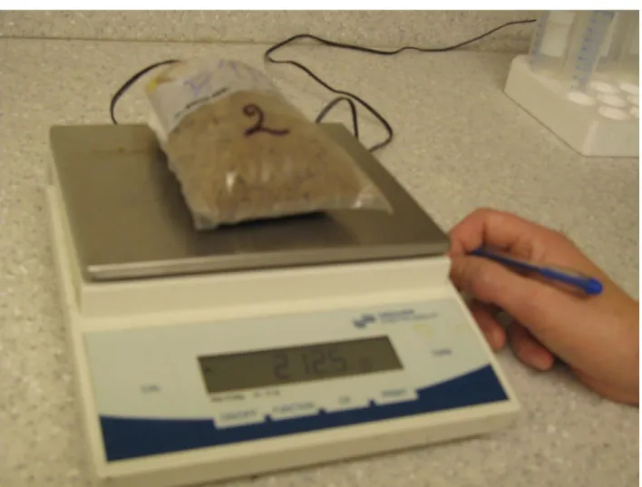 Figure 10. Humidité gravimétrique. Les échantillons sont pesés avant d’être séchés (humides) et après  (secs)