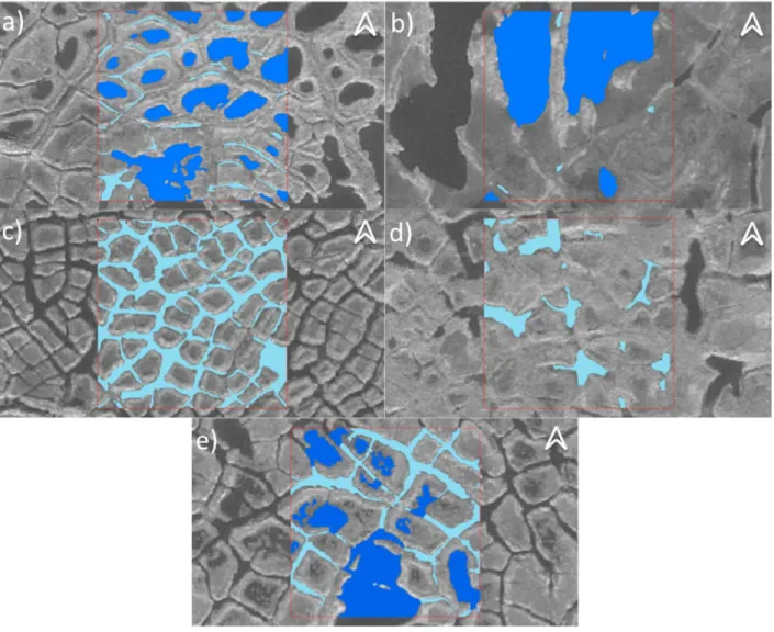 Figure 7.  Planimétrie des surfaces recouvertes d’eau à l’aide du logiciel ArcGIS. Exemples  de quadrats  de 75 m de côté (5625 m 2 )  réalisés dans chaque unité  morphosédimentologique : a) mares de petits polygones à centre déprimé, b) mares de  grands p