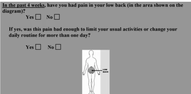 Figure 2. Définition minimale consensus pour décrire la douleur lombaire  