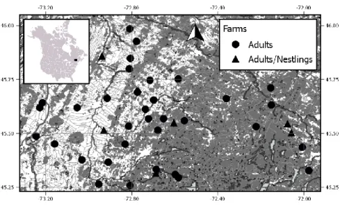 Figure 2.1   Map of the 40 farms (black circle and triangle) used to sample Tree swallows in  southern  Québec,  Canada
