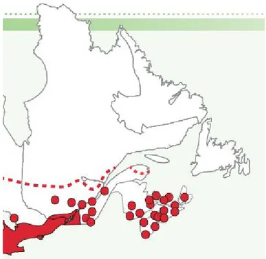 Figure 1.2 Répartition du nerprun au Québec (tiré de : Lavoie, 2019) 