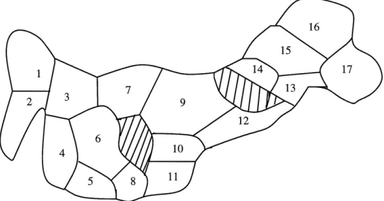 FIG. 3.1: Region constituee de 17 unites de ventes avec un centre de vente dans la zone numero 6