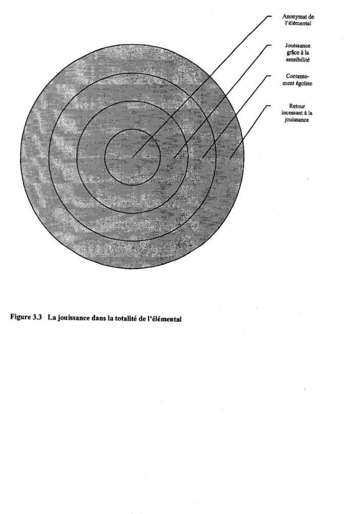 Figure 3.3 La jouissance dans la totalite de l'elemental 