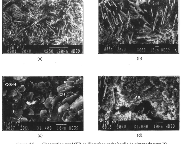 Figure 4.2 - Observation par MEB de 1'interface roche/coulis de ciment de type 10