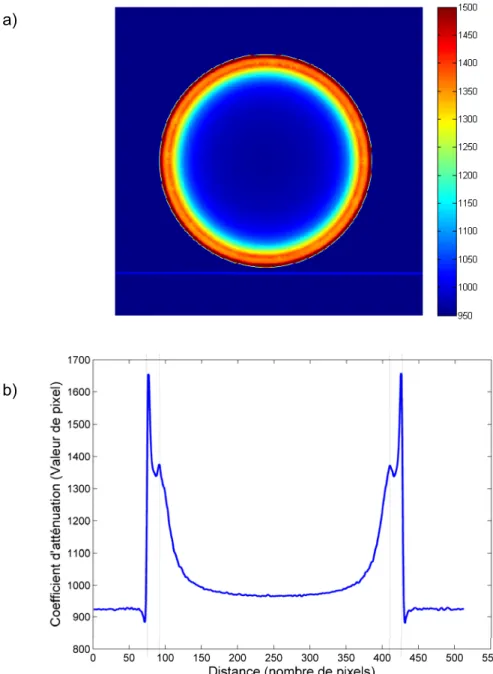 Figure 4 (a) Coupe transversale d’un scan du tuyau neuf « NEW-PIPE »; et (b) profil horizontal
