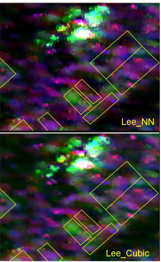 Figure 3.5. Images RADARSAT-2 du 24 juin 2008, après l’application d’un filtre Lee et   rééchantillonnage par «plus proche voisin (NN) » et « cubique »  
