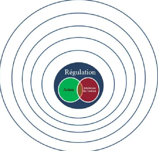Figure 7. La régulation. 