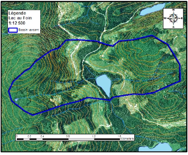 Figure 7 : Carte topographique délimitant le bassin versant du lac au Foin. 