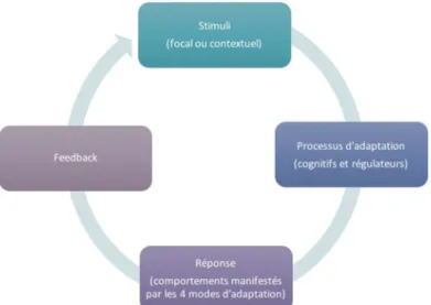 Figure 5. Perspective systémique de l’adaptation de Roy 