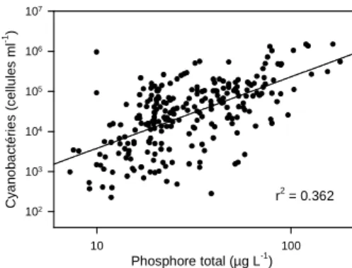 Figure  1.  Relation  entre  la  densité  en  cyanobactéries  et  la  concentration  en  phosphore  total pour une série d’échantillons prélevés  par le  MDDEP  sur  sept  lacs  du  Québec  entre  2000  à  2006