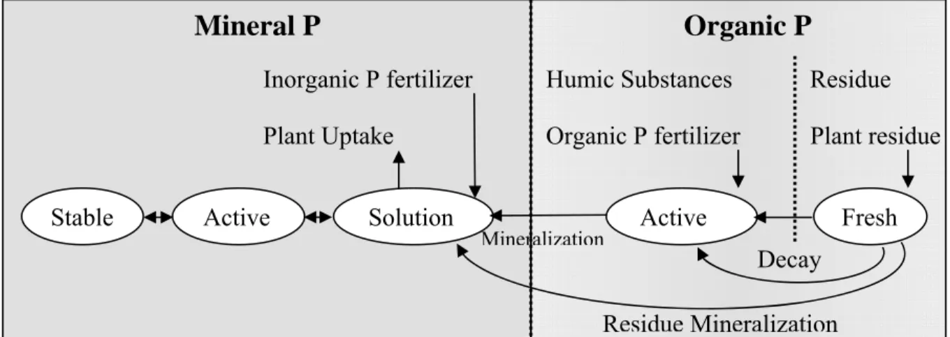 Figure 4-2  GIBSI soil phosphorus pools and processes that move P in and out of pools 