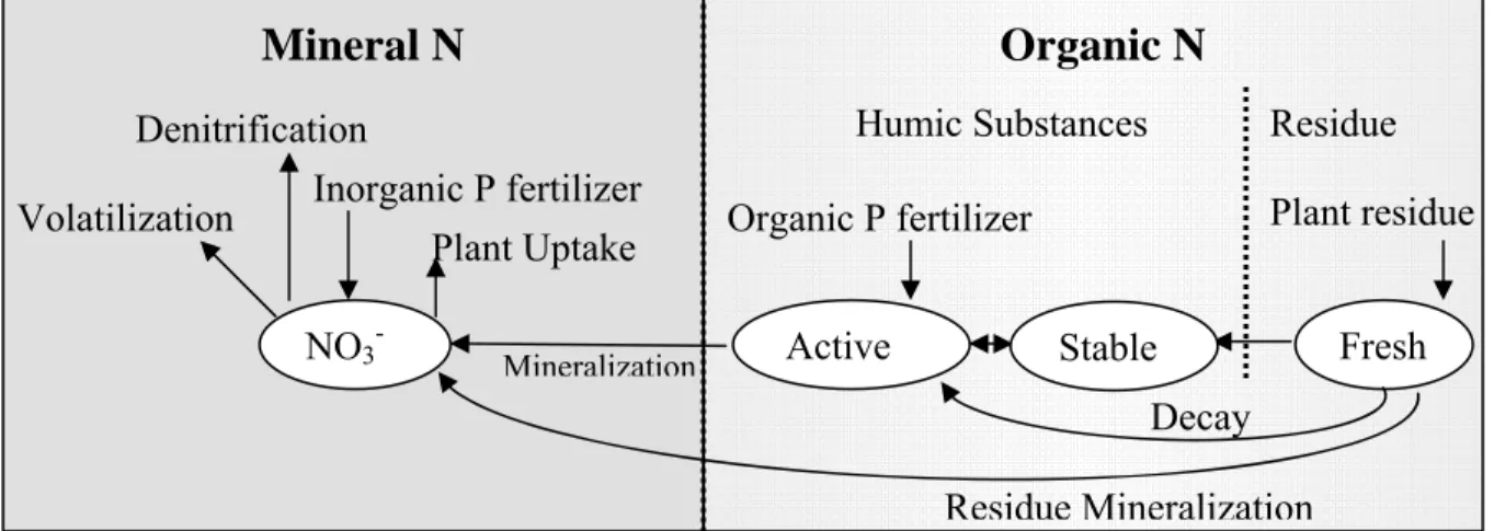 Figure 4-3  GIBSI soil nitrogen pools and processes that move N in and out of pools 