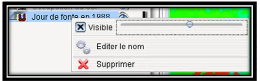 Figure 8 - Exemple du menu contextuel. Ici la transparence est définit à environ 50%. 
