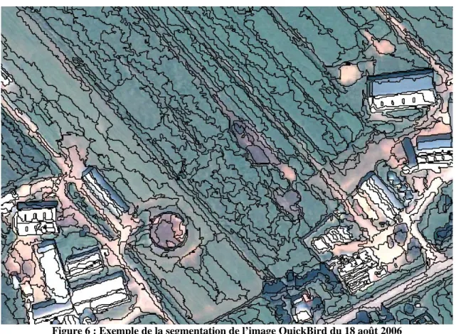 Figure 6 : Exemple de la segmentation de l’image QuickBird du 18 août 2006 