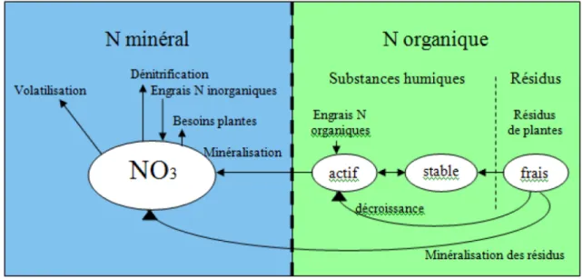 Figure 3.2 Cycle de l’azote géré par POPES. 