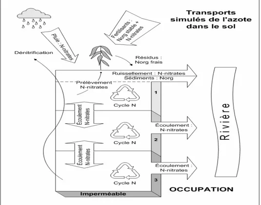 Figure 3.3 Processus modélisés de transformation et de transport de l’azote dans le sol