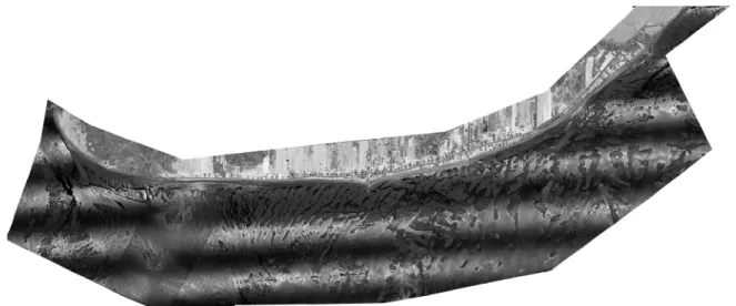 Figure 16 : Image de synthèse à haute résolution de l’estran Pointe-aux-Outardes 