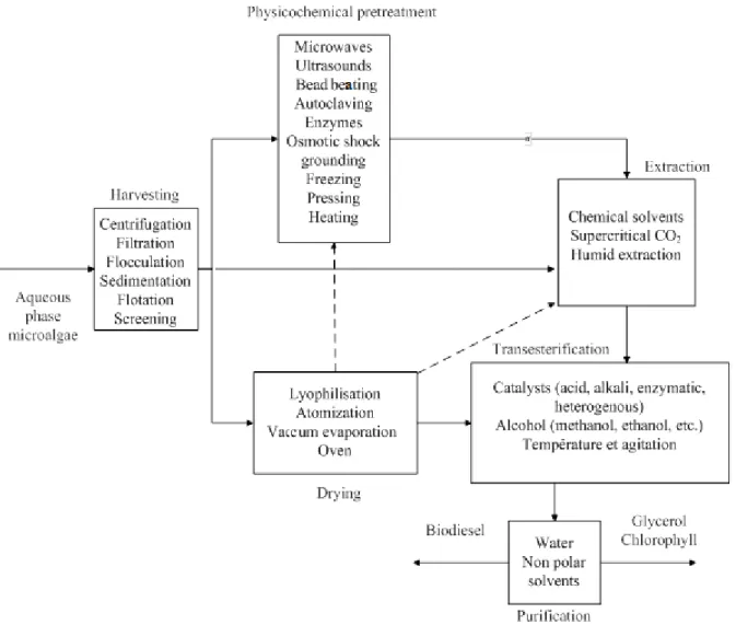 Figure 1.3  Process diagram of a biodiesel production process with all possible extractions  methods  