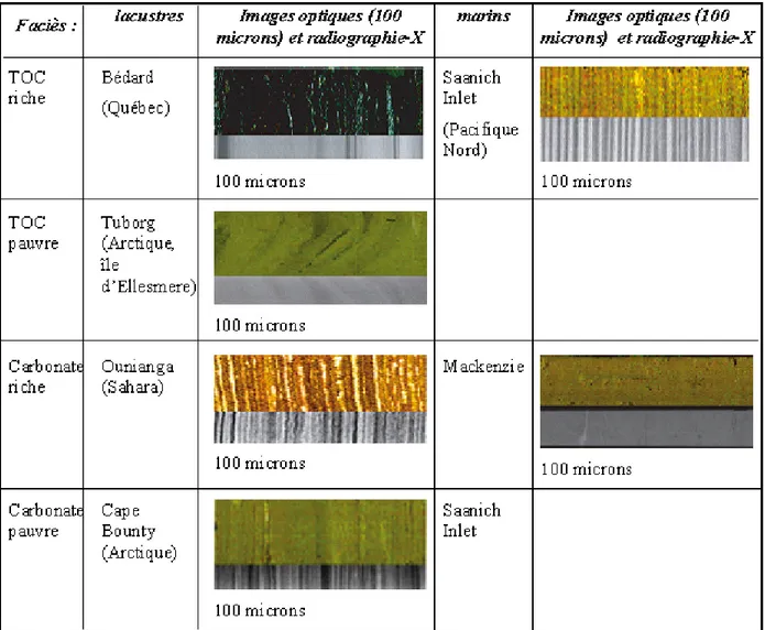 Tableau 1 : Faciès sédimentaires lacustres et marins (avec présence ou non de carbone organique et ou  de carbonate) utilisés pour l’évaluation de l’ITRAX TM  Core Scanner