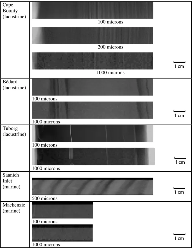 Figure 7 : Comparaison des microradiographies selon le type de faciès sédimentaire et le pas  d’échantillonnage choisi