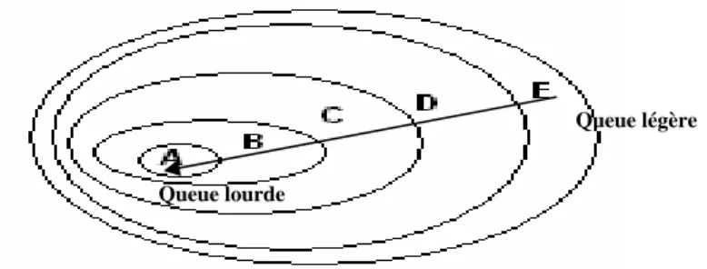 Figure 2 : Différentes classes de distributions de queue très légère (E)  à très lourde (A)