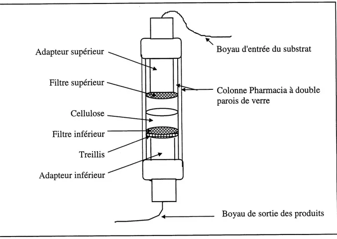 Figure 2.8 Representation schematique du montage d'un bioreacteur de type colonne. Le montage est effectue dans une colonne Pharmacia de 26 mm de diametre.