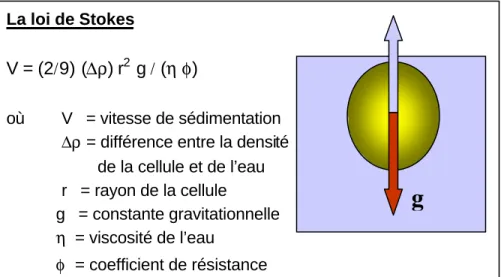 Figure 1.  Vitesse de chute ou de flottaison pour une sphère selon la loi de Stokes.   