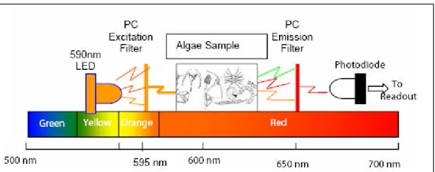 Fig.  10). Les méthodes  in vitro de détection de la PC nécessitent une extraction  préalable en laboratoire selon un protocole bien défini