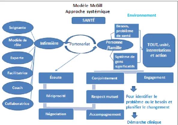 Figure 2: Schéma synthèse: Modèle McGill 