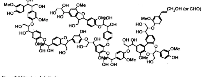 Figure 2-1 Structure de la lignine 