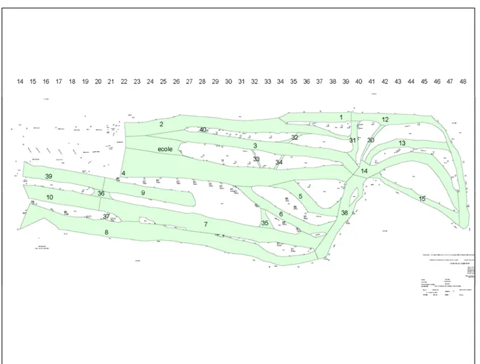 Figure 3. Numérotation des sections de piste utilisées pour calculer les superficies.  Pour  chaque segment numéroté, le périmètre d’un rectangle équivalent a d’abord été estimé,  puis la superficie de ce rectangle a été calculée