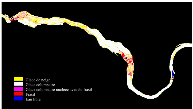 Figure 8 : Classification finale de l’image polarimétrique. 