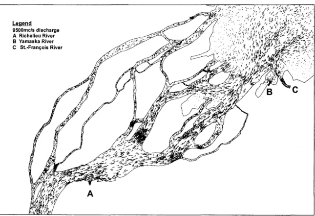 Fig. 4.  Velocity field  in  the Sorel  Delta area. 